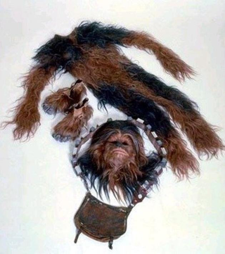 Illustration for article titled Looking At Stars Wars Candid Shots Is Like Looking At Your Old Prom Photos